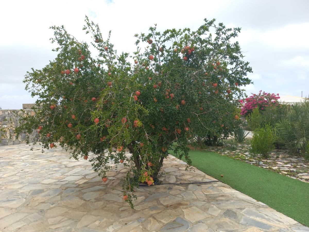 Jebel Shams Resort منتجع جبل شمس Dar Sawda Esterno foto